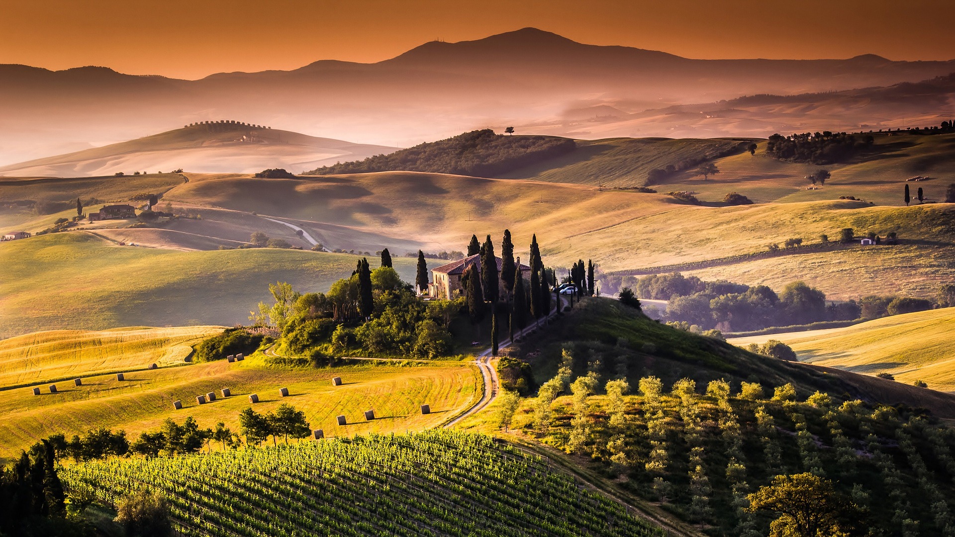 Rolling hills and vineyards in Tuscany, Italy